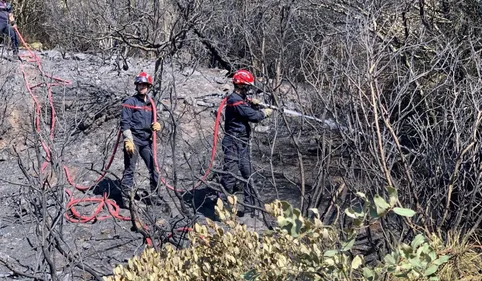 Incendies dans les Corbières : "ce qui s'est passé mardi : c'est...