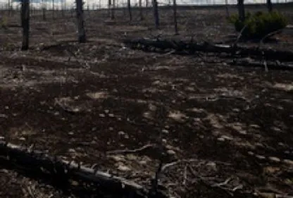 Hautes Corbières : la désolation