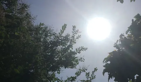 Nouveau coup de chaud sur l'Occitanie