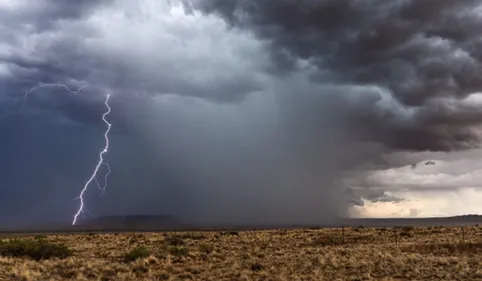 TARN-ET-GARONNE : Un enfant de 12 ans tué par la chute d'un arbre