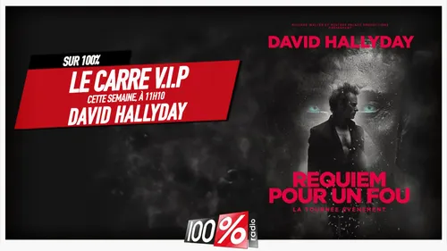 Le carré VIP de David Hallyday