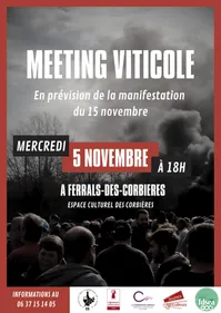 Viticulteurs mobilisés : deux rendez-vous pour défendre la filière