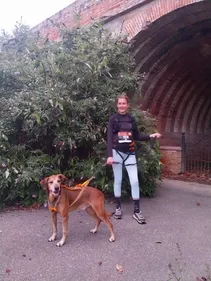 TARN: la belle histoire de Bobby, le chien abandonné qui revit...