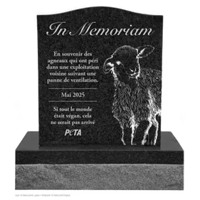 Tarn: l'association de défense des droits des animaux PETA réclame...