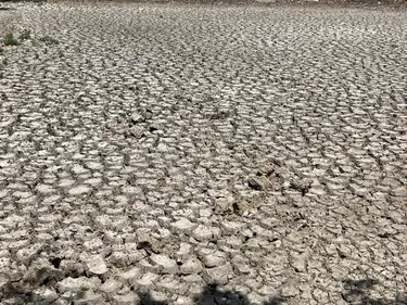 Sécheresse : malgré des économies d'eau notables, la majeure partie...