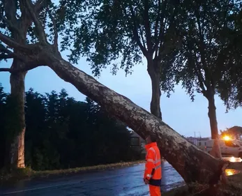 Coup de vent : des milliers de foyers toujours privés d'électricité...