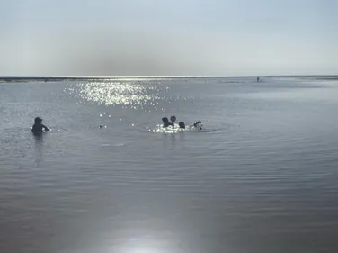 Qualité des eaux de baignade : on vous dit quels plans d’eau éviter...
