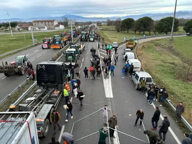 Accident mortel à Pamiers. Le conducteur mis en examen, ses...