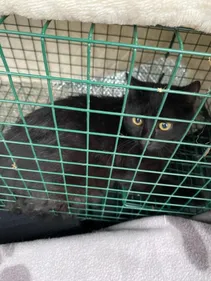 Solidarité après les incendies dans l'Aude 