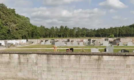 TARN: l'indignation d'une Tarnaise après des fleurs volées au...