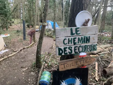 Près de Castres. La "Crem'arbre", une nouvelle ZAD, sort du bois