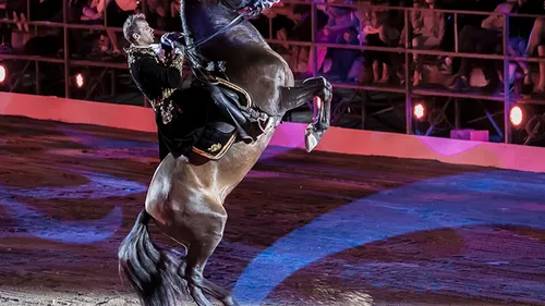 Spectacle équestre grandiose : Cavadélis revient à La Grande Motte...