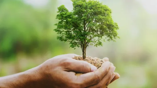 Banque Populaire du Sud : journée dédiée à l'environnement