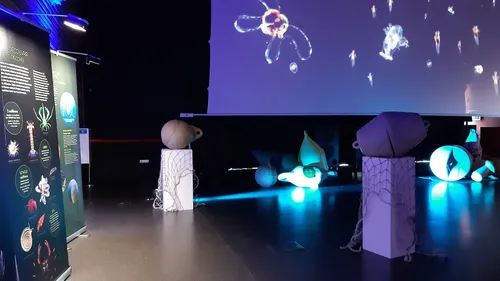 Narbonne : une expo insolite à la découverte des profondeurs marines