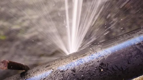 Hérault : Osmozis présente des solutions pour lutter contre le...