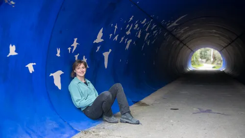 Haut-Languedoc : plusieurs fresques artistiques inaugurées le long...
