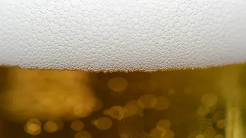 Montpellier : Brasseries en fête revient pour une seconde édition