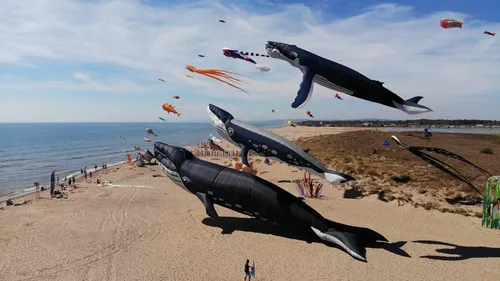 Portiragnes : le festival du vent fait son retour après deux ans...