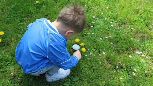 Fête de la science dans les Pyrénées-Orientales : notre sélection à...