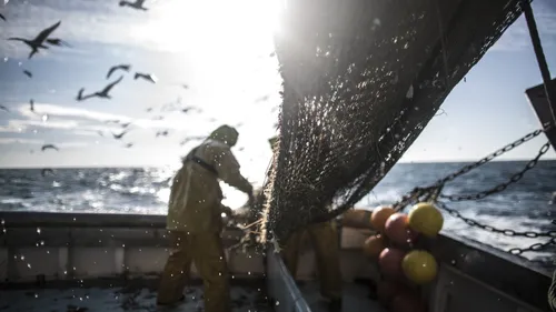 Grau d’Agde : les visites du belvédère de la criée font leur retour...