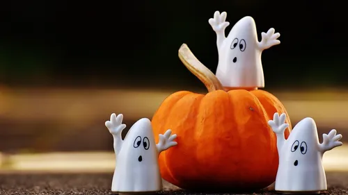 Pyrénées-Orientales : 5 idées de sorties en famille pour fêter...