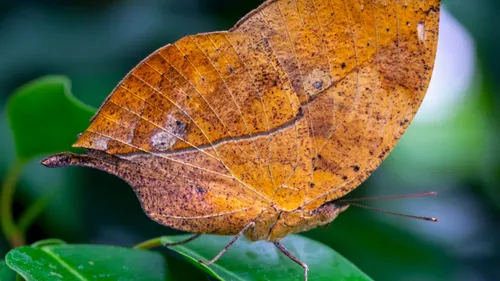 Aveyron : Vacances d’automne. Cap sur Micropolis pour un...