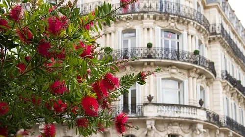 Occitanie : Airbnb a reversé plus de 14 M€ de taxe de séjour en 2022