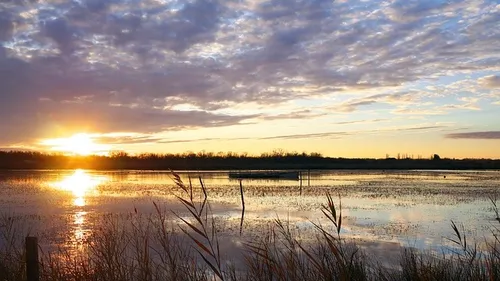 Météo du week-end : un temps agréable et très doux, jusqu’à 25°...