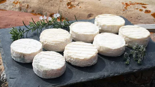 Pélardon : la saison est officiellement ouverte !