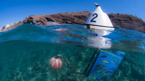 Hérault, Pyrénées-Orientales : Trois sentiers sous-marin à explorer...