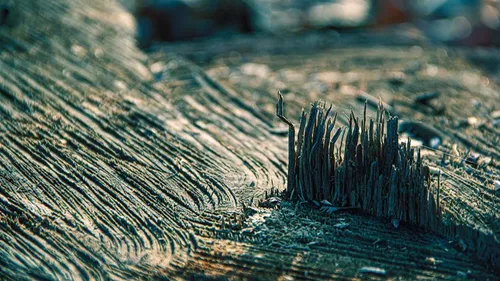 Le GIEC appelle à une action immédiate pour éviter une catastrophe...