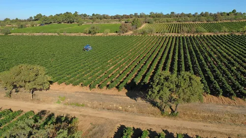A Narbonne, on réutilise les eaux usées pour arroser et nettoyer