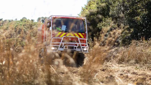Morbihan : la forêt de Brocéliande est en feu