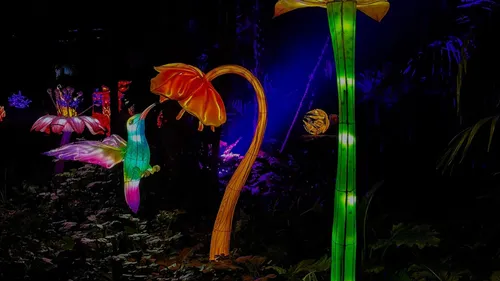 Rennes : une exposition de sculptures lumineuses au Thabor