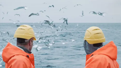 Golfe de Gascogne : interdiction temporaire de la pêche pour...