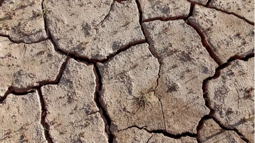 Janvier 2025 a battu un nouveau record de chaleur mondial