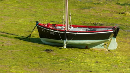 Algues vertes : l'État condamné à indemniser la famille d'un...