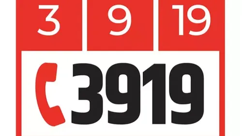 3919 : nombre d'appels record en 2024 pour le numéro dédié aux...