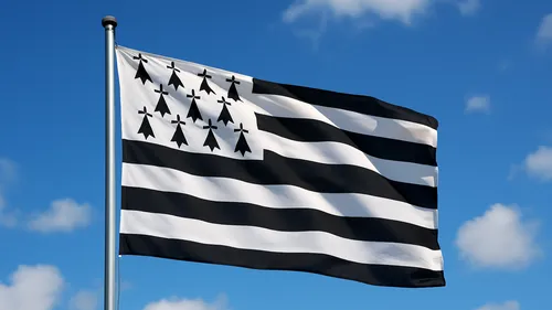 Loire-Atlantique, langue, décentralisation : ce que pensent les...