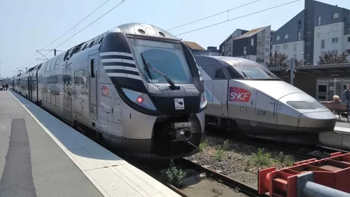 Le trafic SNCF paralysé dans le sud Bretagne par une souche d’arbre