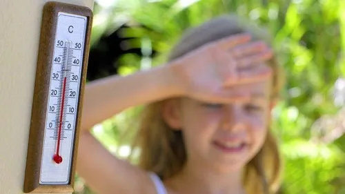 Vagues de chaleur : pensez aux bonnes pratiques !