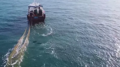 Les filets vides, les cœurs pleins : les pêcheurs de l'Atlantique...
