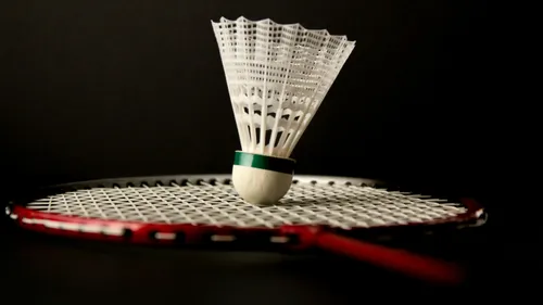 Fougères : un entraîneur de badminton mis en examen pour viols sur...