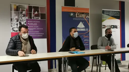 Pyrénées-Orientales : quel avenir pour les discothèques ?