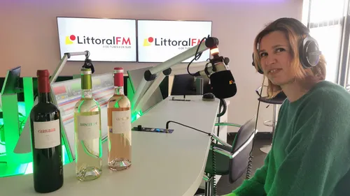 Pourquoi le vignoble Terrassous plante des slips dans ses vignes ?