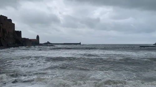 Collioure : un corps aperçu en mer, son repêchage impossible