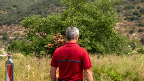 Les Pyrénées-Orientales s’apprêtent à subir leur première canicule...
