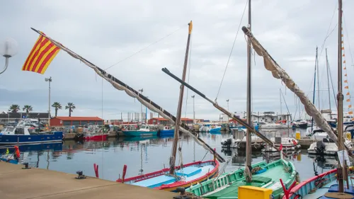 Festa Catalana 2025 : Banyuls-sur-Mer fait vibrer les...