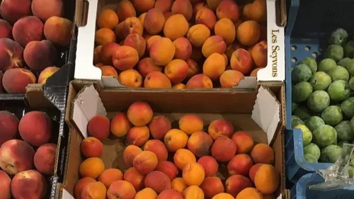 Des tonnes de nectarines et d’abricot déposés devant deux...