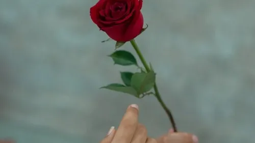 Saint-Valentin : 5 idées pour passer sa soirée avec sa moitié